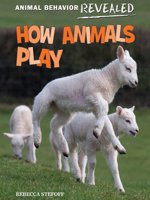 Title details for How Animals Play by Rebecca Stefoff - Available
